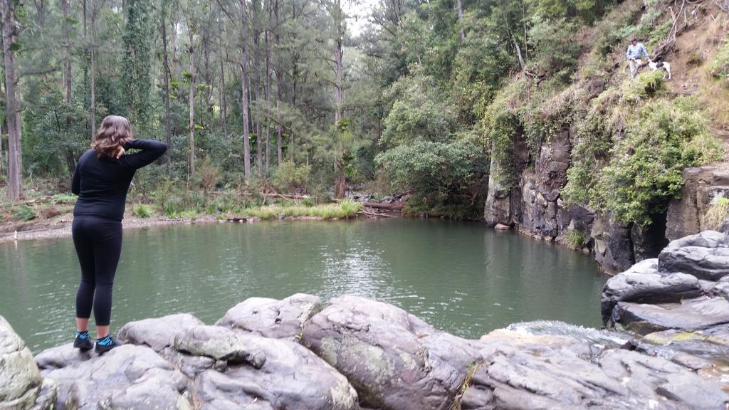 Nimbin Rocks Retreat Motel Koonorigan ภายนอก รูปภาพ